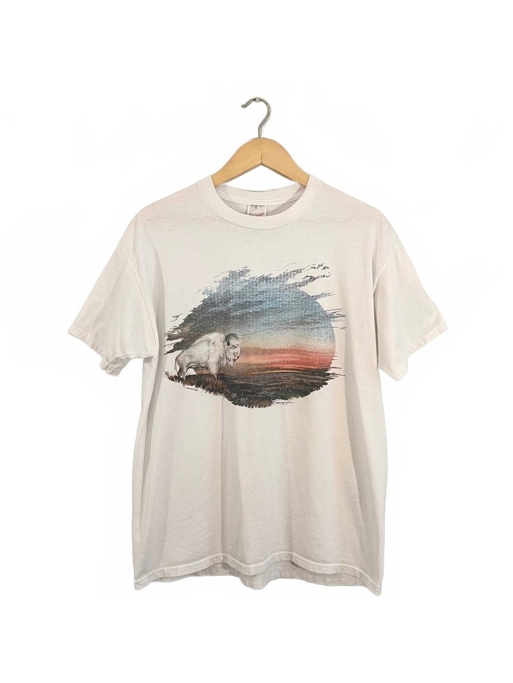 Vintage 90’s Impulse Wear Buffalo Scenery Graphic T-shirt Nature Streetwear